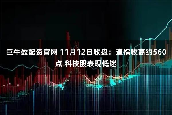 巨牛盈配资官网 11月12日收盘：道指收高约560点 科技股表现低迷