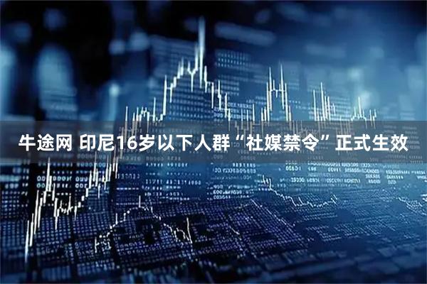 牛途网 印尼16岁以下人群“社媒禁令”正式生效