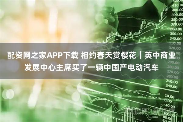 配资网之家APP下载 相约春天赏樱花︱英中商业发展中心主席买了一辆中国产电动汽车