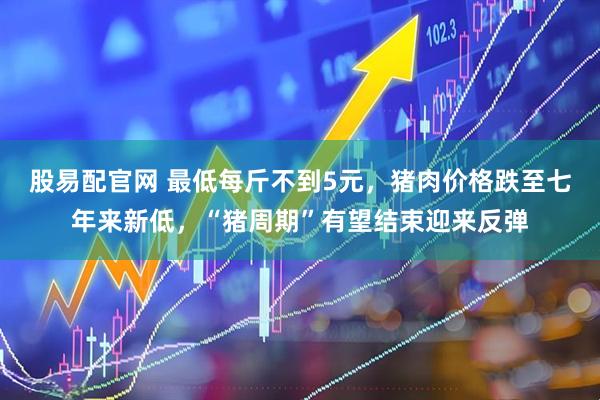 股易配官网 最低每斤不到5元，猪肉价格跌至七年来新低，“猪周期”有望结束迎来反弹