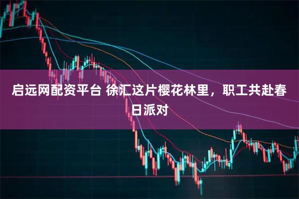 启远网配资平台 徐汇这片樱花林里，职工共赴春日派对