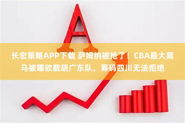 长宏策略APP下载 萨姆纳被抢了！CBA最大黑马被曝欲截胡广东队，筹码四川无法拒绝